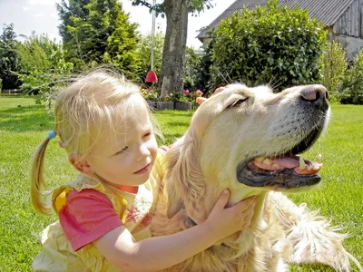 Karls hilft Hund mit Kind