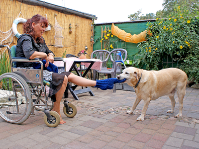 Karls hilft Hund Rollstuhlfahrerin
