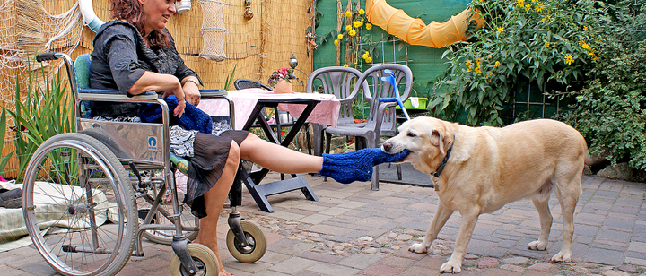 Karls hilft Hund Rollstuhlfahrerin