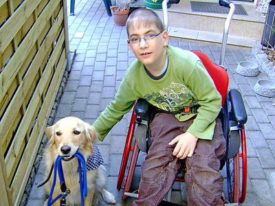 Karls Hilft Rollstuhl Junge Hund