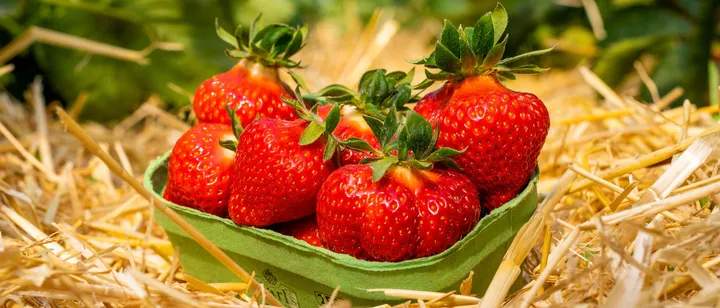 Erdbeeren kleine Schale 250g